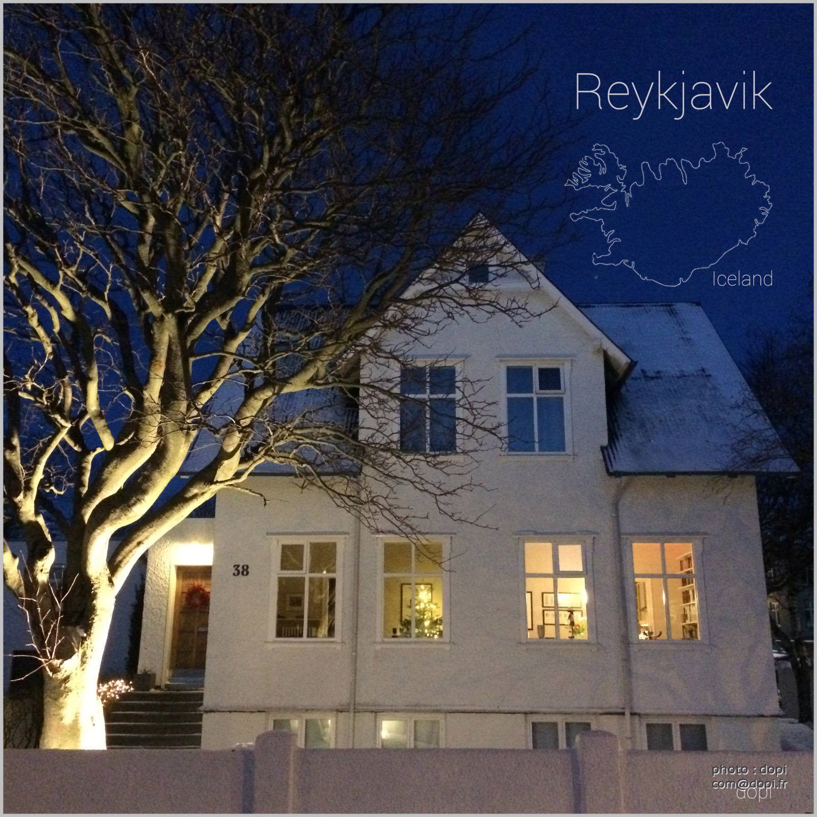 00006 arbremaisonnuitIMG 8539,medium large.2x.1483818385